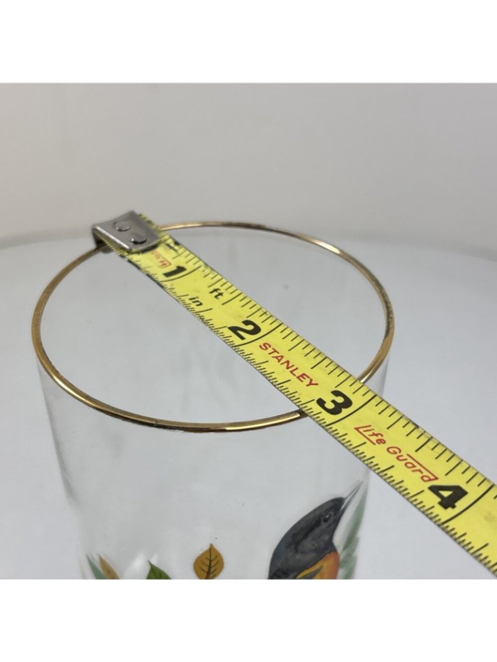 “Baltimore Oriole” Vintage 12oz Flat Tumbler By West Virginia Glass Specialty - Picture 6 of 6
